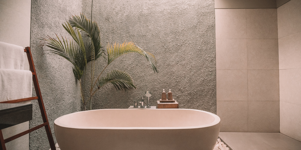 Pflanzen für dein Badezimmer mit Frida Verde